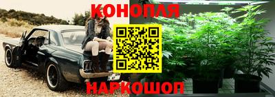 spice Железногорск